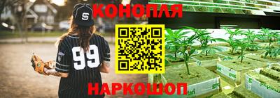 крисы Пушкино