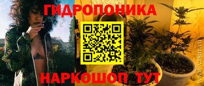 крисы Пушкино