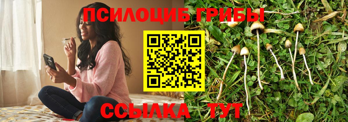 Рузаевка  Галлюциногенные грибы MAGIC MUSHROOMS  Вход с VPN  Псилоцибиновые грибы Magic Shrooms 